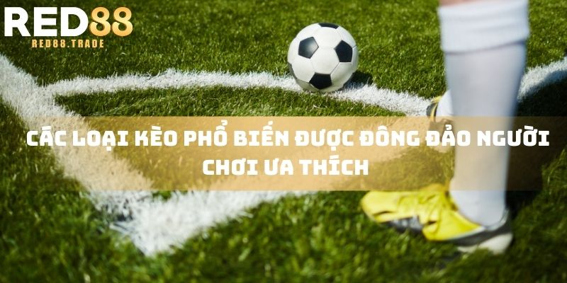 Các loại kèo phổ biến được đông đảo người chơi ưa thích