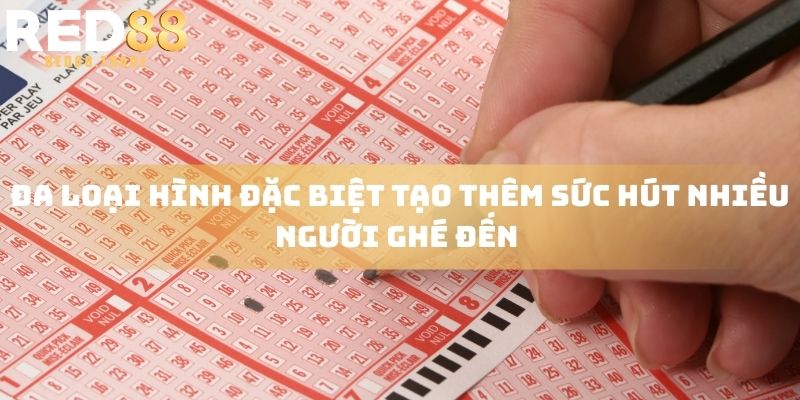 Đa loại hình đặc biệt tạo thêm sức hút nhiều người ghé đến 